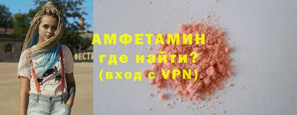 индика Михайлов