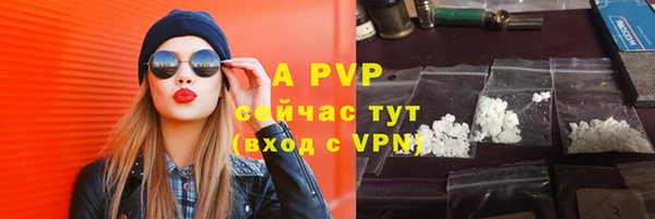 молекула духа Надым