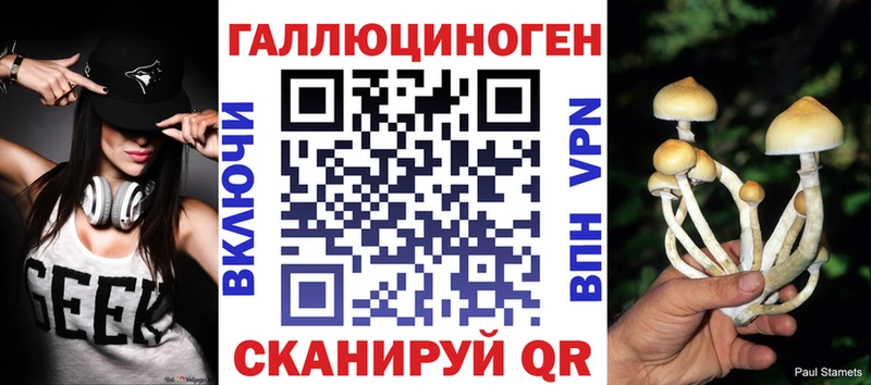 hydra ССЫЛКА  Собинка  Галлюциногенные грибы мицелий 
